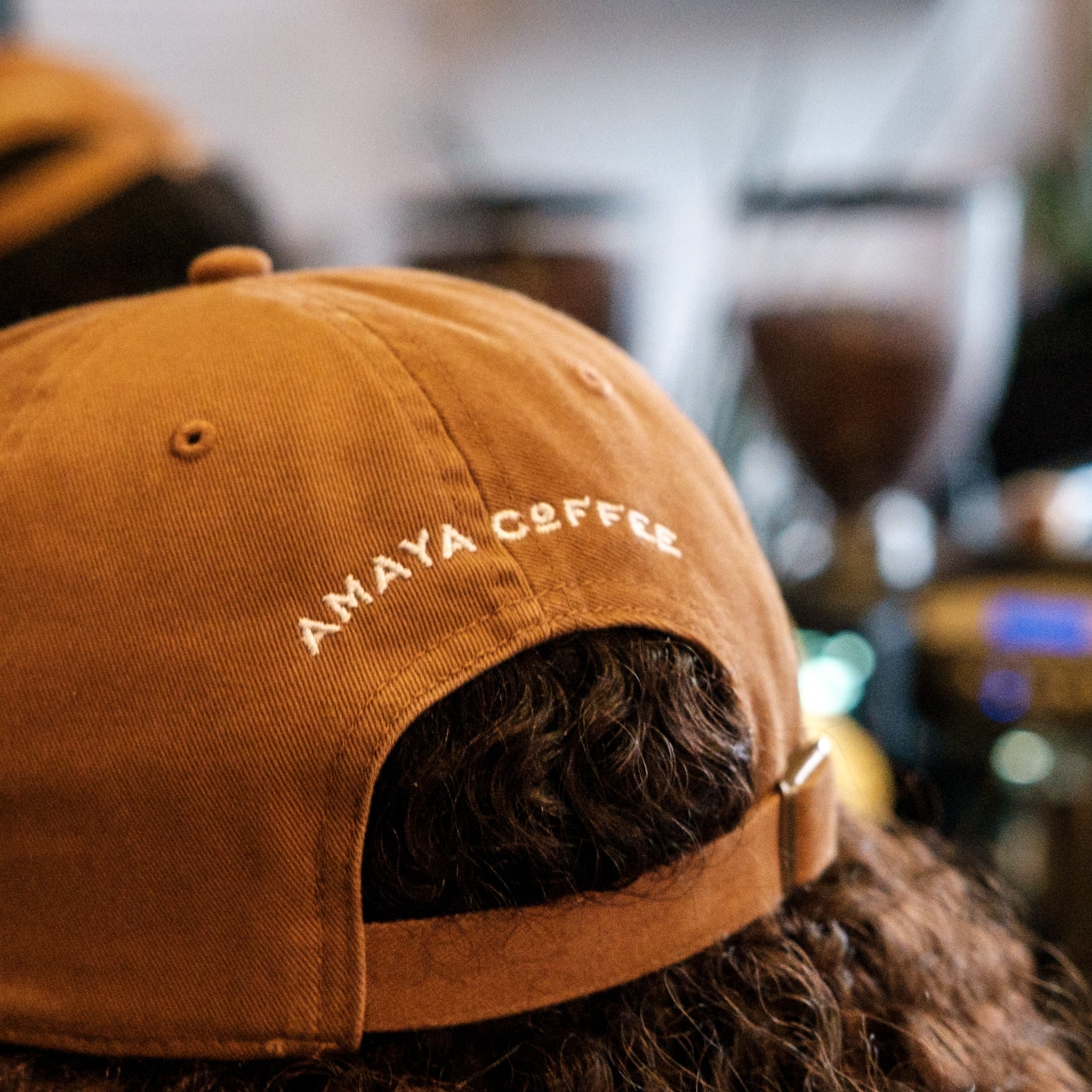 Amaya Prism Logo Hat