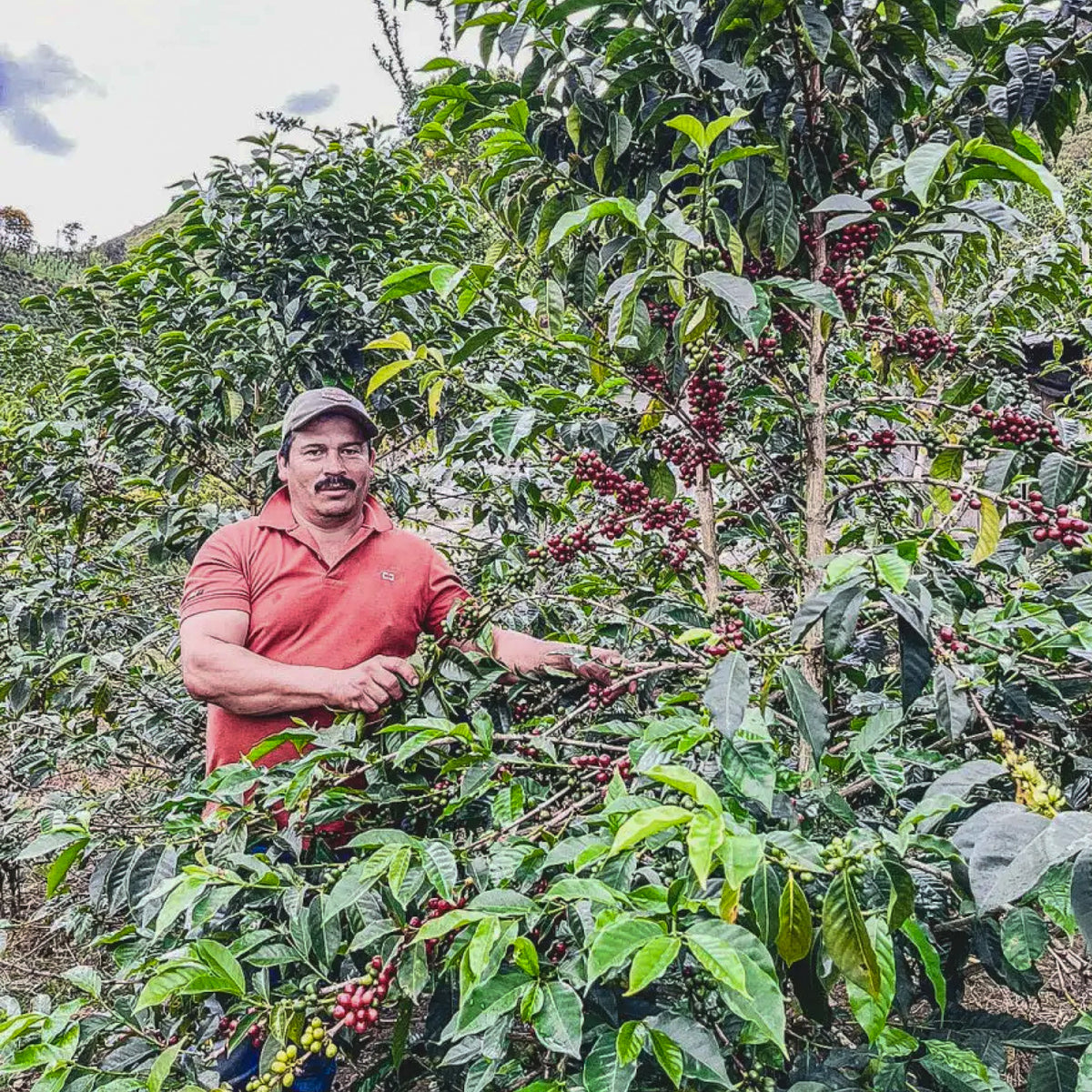 Finca Costa Rica