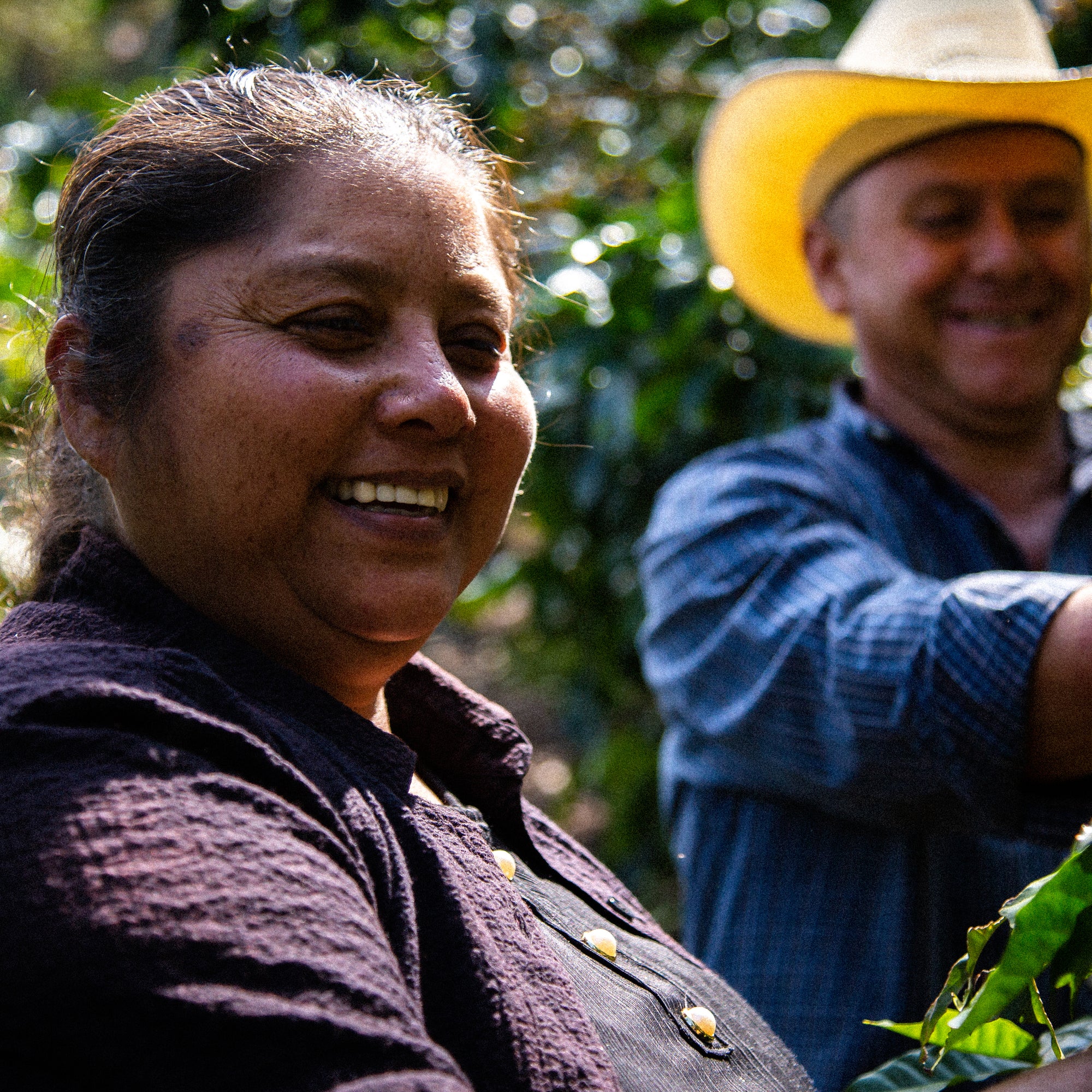 La Joya